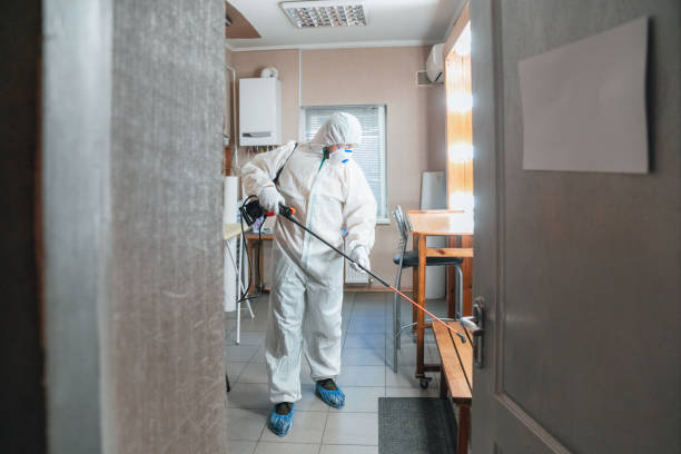 Best Mold Remediation for Vacation Homes  in Middletown, PA